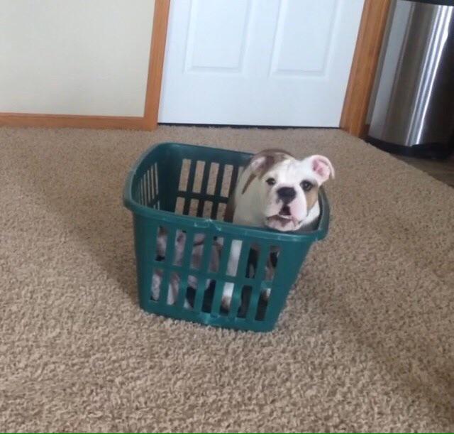 tnkerbcll's tweet photo. "how's your life going" http://t.co/A1mNJcXFUo