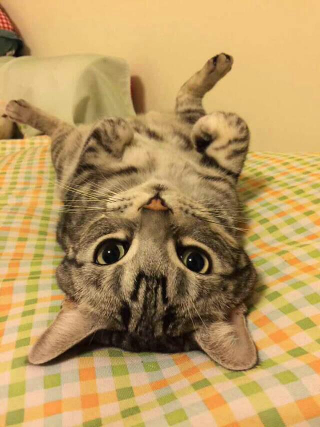 MFrannieStore's tweet image. Saturday ... What should I do...?  Zz.