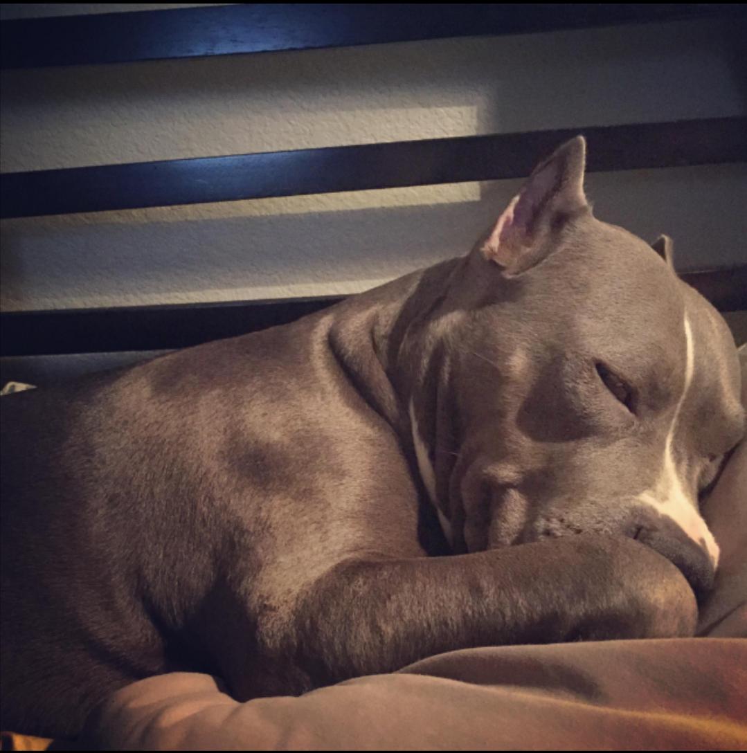 How gorgeous is this!?