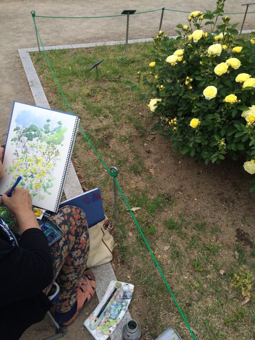 敷島公園バラ園のtwitterイラスト検索結果 古い順
