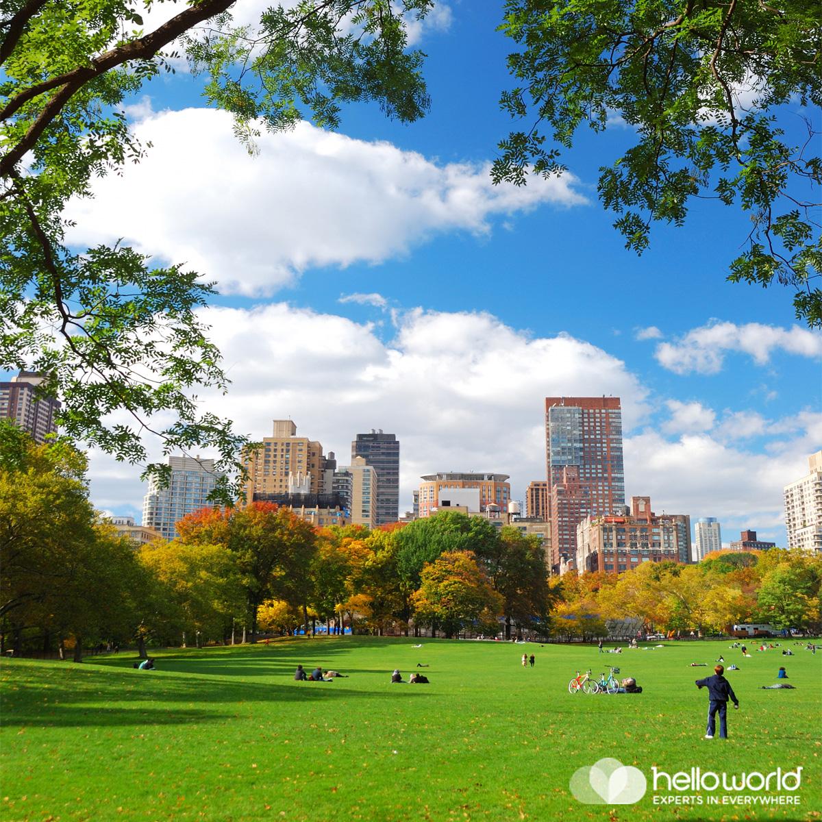 helloworldau's tweet photo. In #NYC and love a good picnic? Grab some yummy snacks from Wholefoods &amp; head over to #SheepMeadow - BEST http://t.co/munoKgRW41