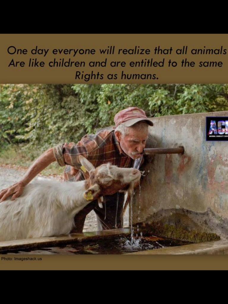 Seydi Şahin tweet media