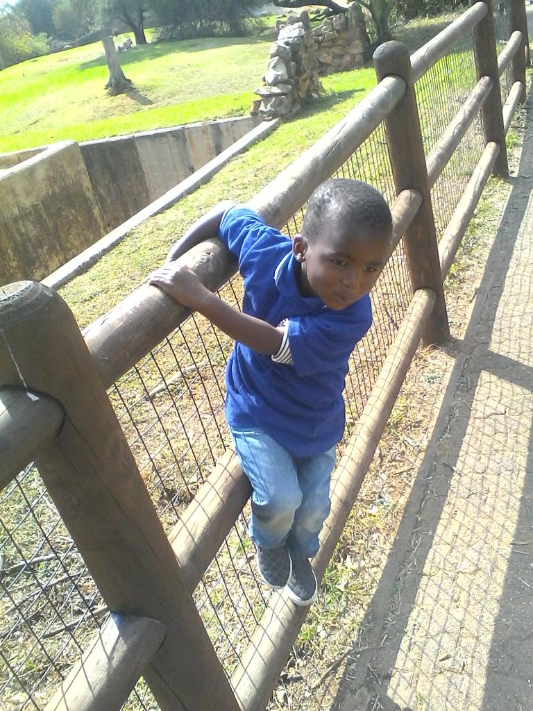 kabinijulia's tweet photo. Jo'burg zoo is where we r... http://t.co/is0uIHMJXT