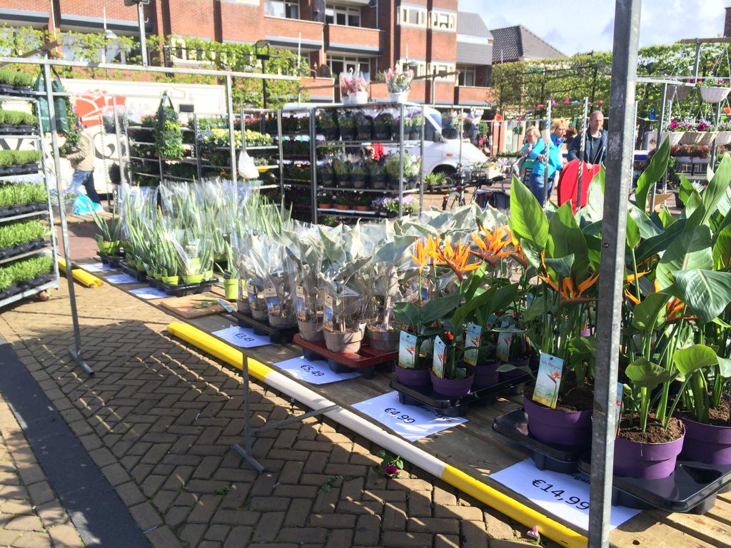 van_der_Burg's tweet photo. Vandaag zijn onze producten te koop in centrum Naaldwijk #thuiswedstrijd http://t.co/x04GHtCt9Y