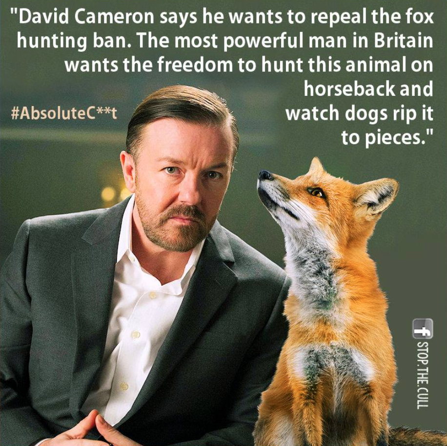 TimothyMcVeins's tweet photo. Cameron is a twatwaffle. #StopTheCull http://t.co/I1kohgnOD8