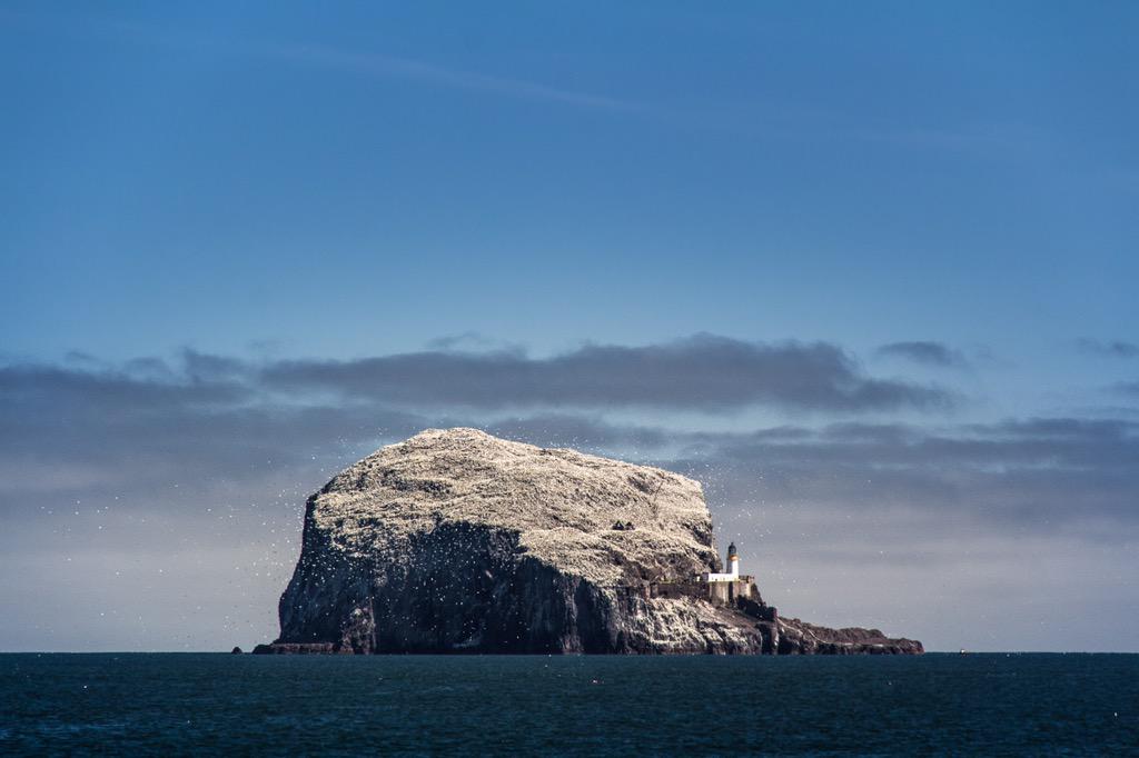 angusjohnscott's tweet photo. #BassRock pics from my recent @SeabirdCentre boat trip. Everyone in #eastlothian should do this trip!! @LothianLoop http://t.co/vTCHvQgC0N
