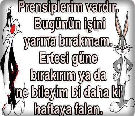 Burcu Dağcı (@burcudagc) on Twitter photo 