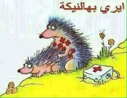 anmar hantoosh (@mexswdad) on Twitter photo 