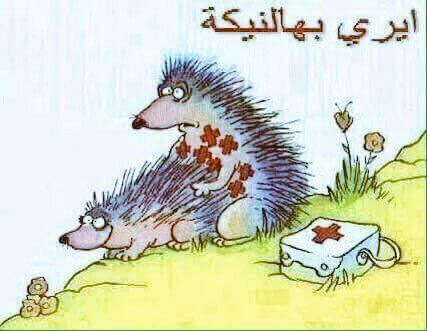 anmar hantoosh (@mexswdad) on Twitter photo 