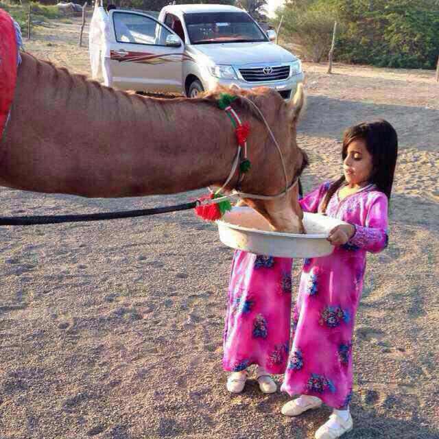 luluamri23's tweet photo. ما اروع الانسان عندمااااا يكون ��يب القلب👫👭 http://t.co/uHxURygH9g