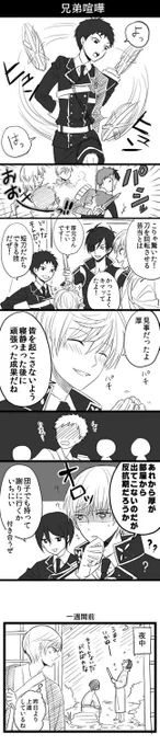 兄弟喧嘩(少し手直ししました) 