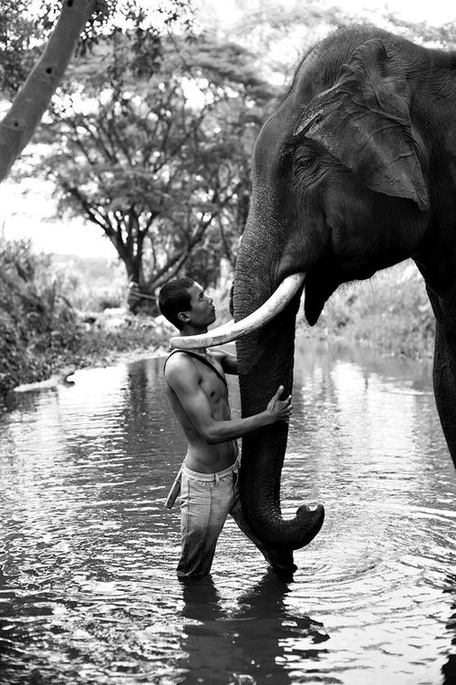 MATIASM97027089's tweet photo. @W174YA_IND Good morning dear friend😻hugs🌺 http://t.co/h9CxFaR6Gp