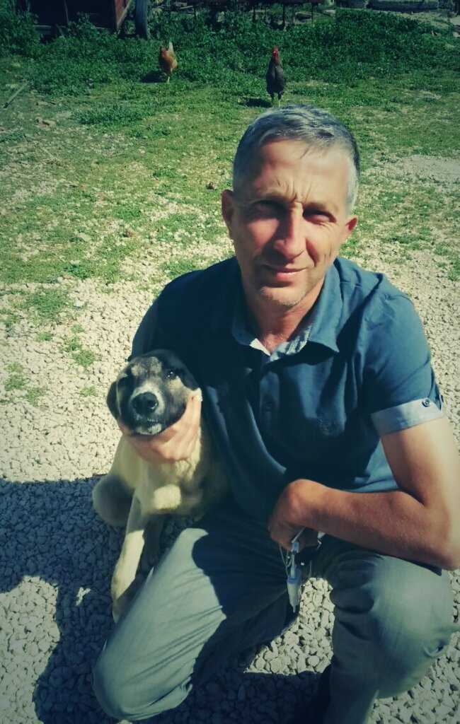 Orhan Saydut tweet media