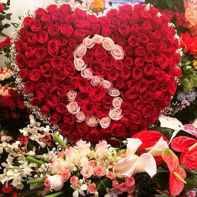 FloristBears's tweet photo. http://t.co/6TR0sKDqys