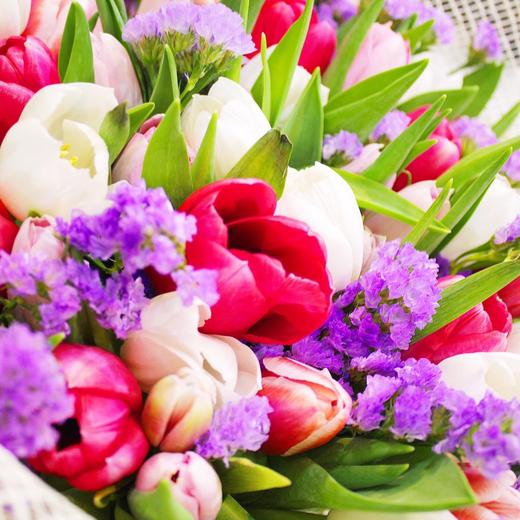 FloristBears's tweet photo. http://t.co/MLCtqIDPkw