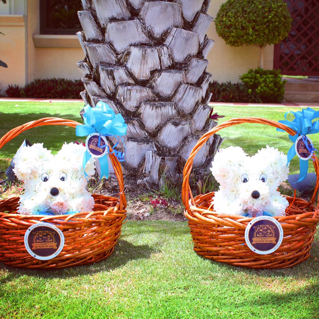 FloristBears's tweet photo. http://t.co/pQ5HAwVwE8