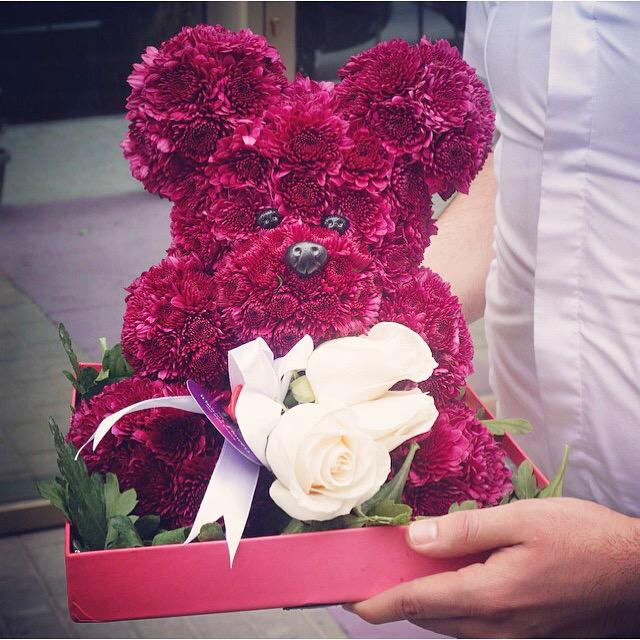 FloristBears's tweet photo. http://t.co/pQ5HAwVwE8