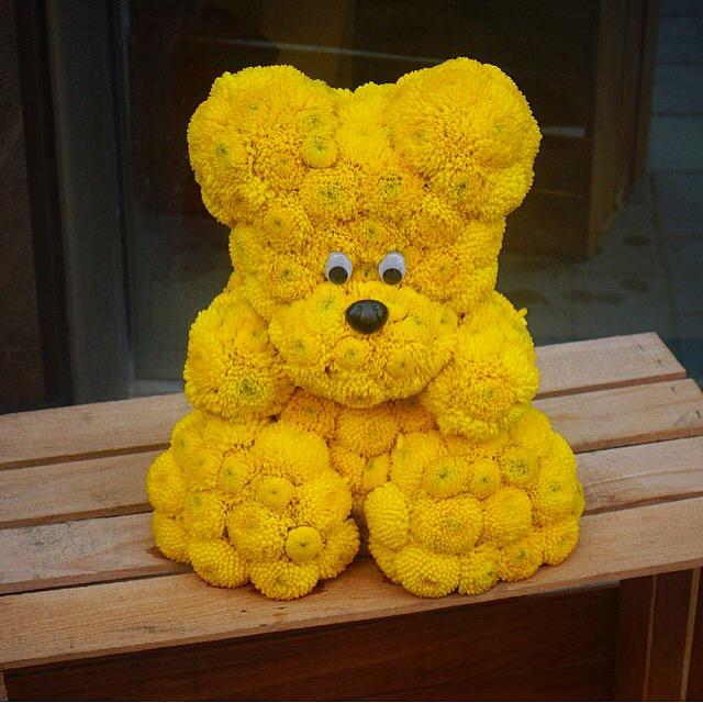 FloristBears's tweet photo. г http://t.co/3g89gvNZm6
