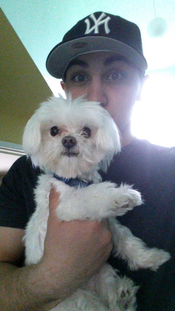 _Buzz0's tweet photo. 11+ years with my little guy always by my side, and the hardest thing ive ever had to was say goodbye #RestinPeaceLeo http://t.co/6t6t8UER1q