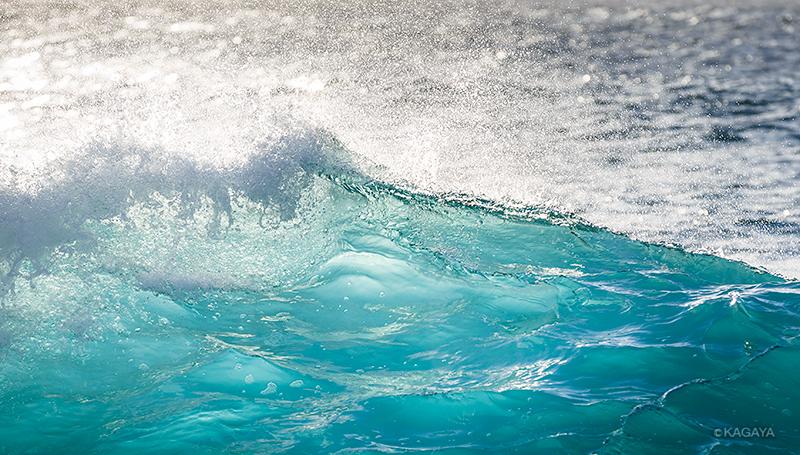 埋め込み画像への固定リンク