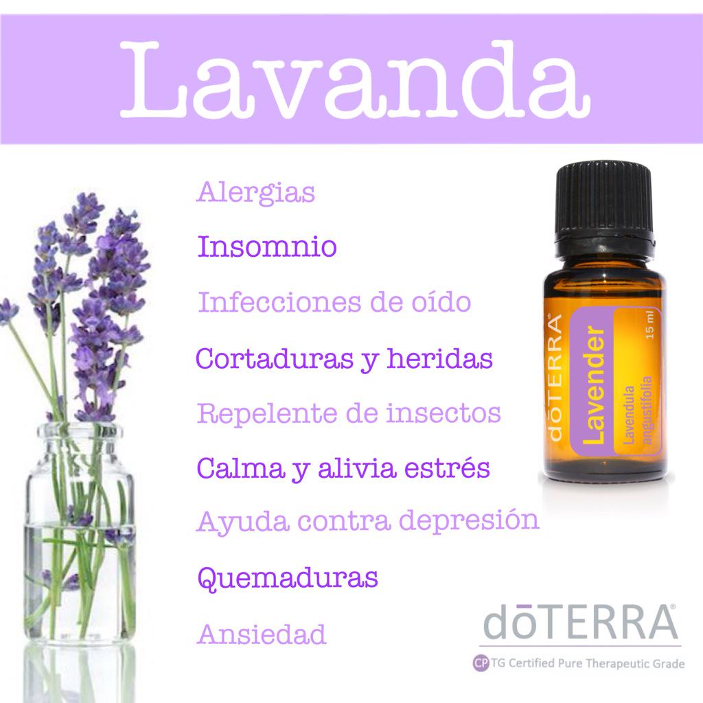 Dominante Destino Goma Lavanda Aceite Esencial Beneficios Deuda A