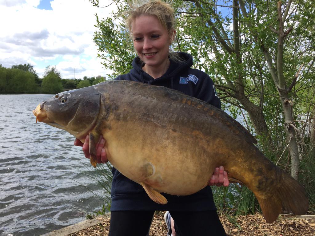 ToniClayden's tweet image. It was a struggle but I've finally banked my new PB .. Look at this beaut 31lb 8oz 😍🎣😍 @ChaseLakes @urban_bait