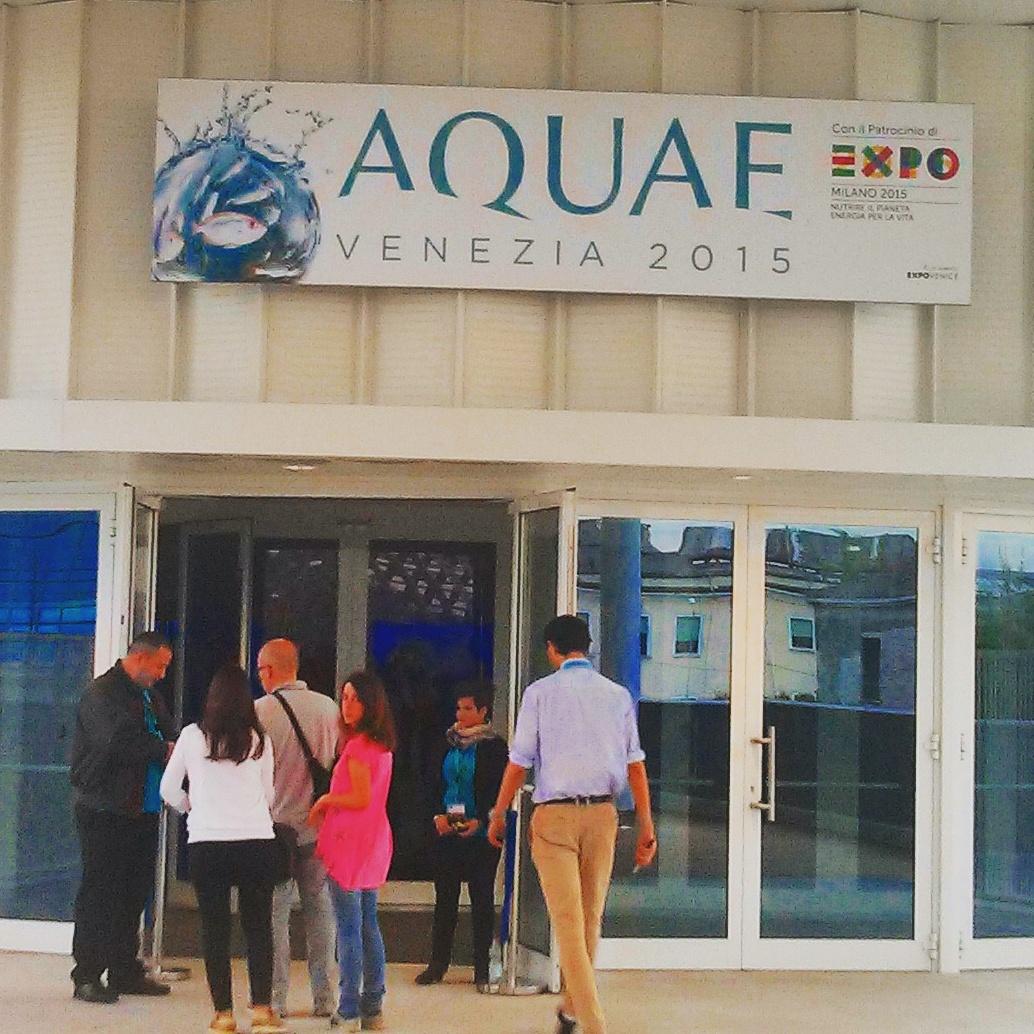 Visto anche questo. #venetodigitale