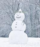 LCchemist's tweet photo. Atomic radius increases DOWN a group... Just like a snow man's body!! #chemistry #leavingcert #atomicradius http://t.co/p13Ex590gA