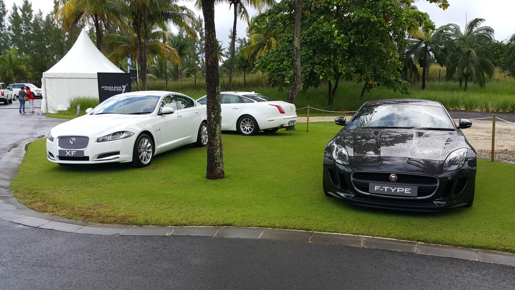 Jags at rest guarding the entrance to Heritage Golf Club