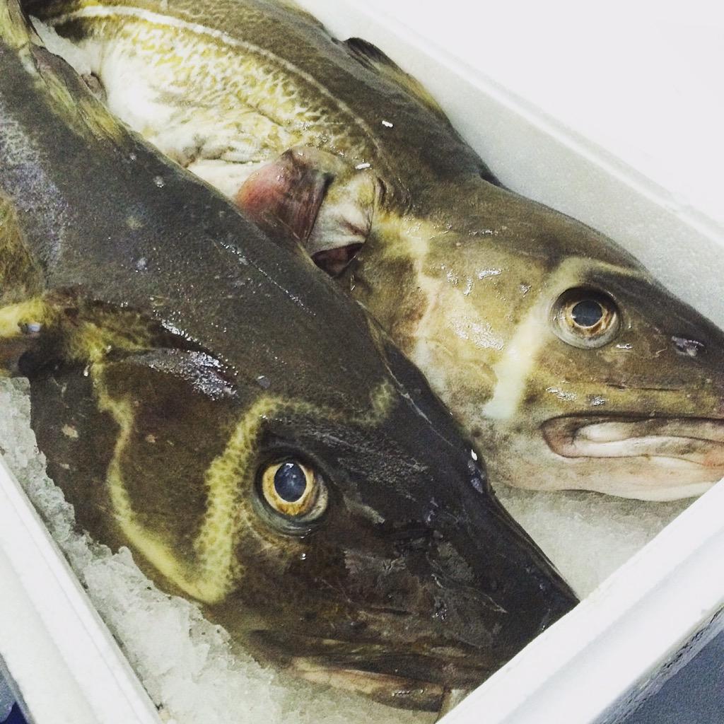 Cracking cod today, soon at Jean-Georges Dubai