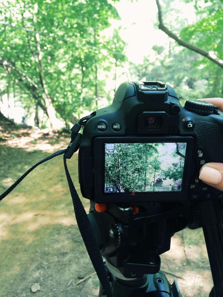 sydney_sigmon's tweet photo. Filming for the JV Buzz @JVBuzz3 #jvallstars http://t.co/pVFpXkhzyn