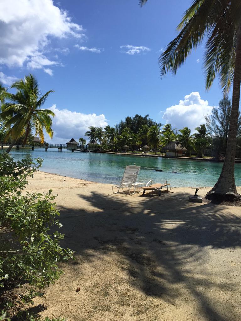 o_marsden's tweet photo. Life couldn't get better than a honeymoon in Moorea. Think I'm just going to move here!! http://t.co/bCPyyc9T7T
