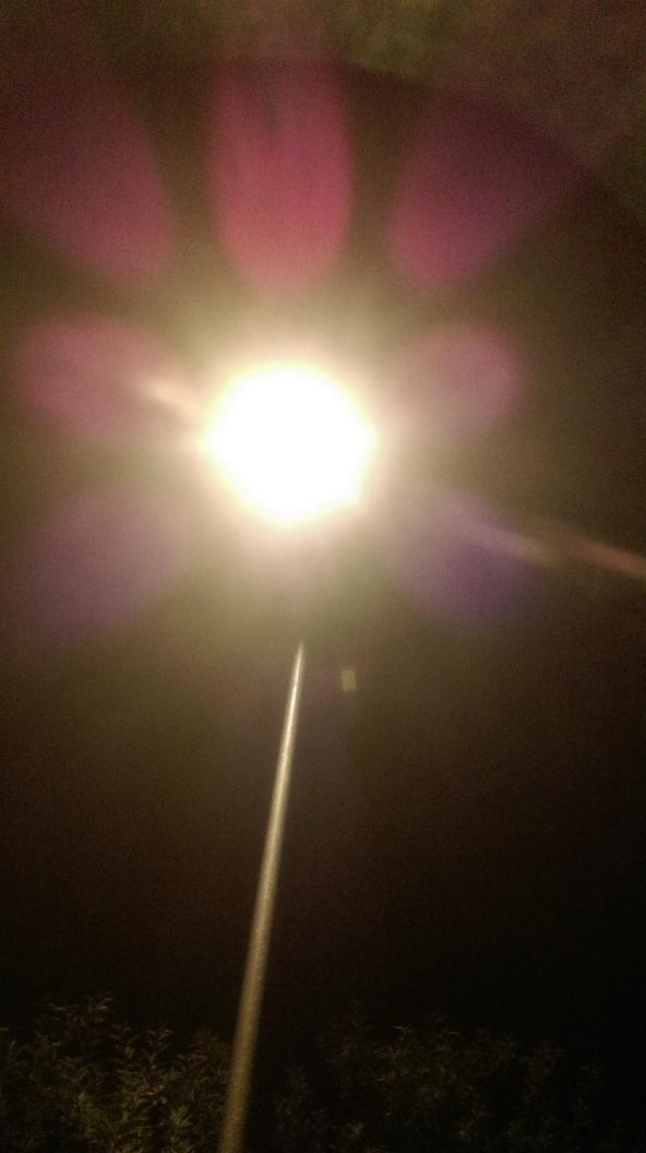 adanrguezrocha's tweet photo. Pasada noche #AdanLUX #GoSolar Camino Mirador Astronómico Miraflores en Municipio de Puntagorda #WaveTechCan http://t.co/7VavCipZrA