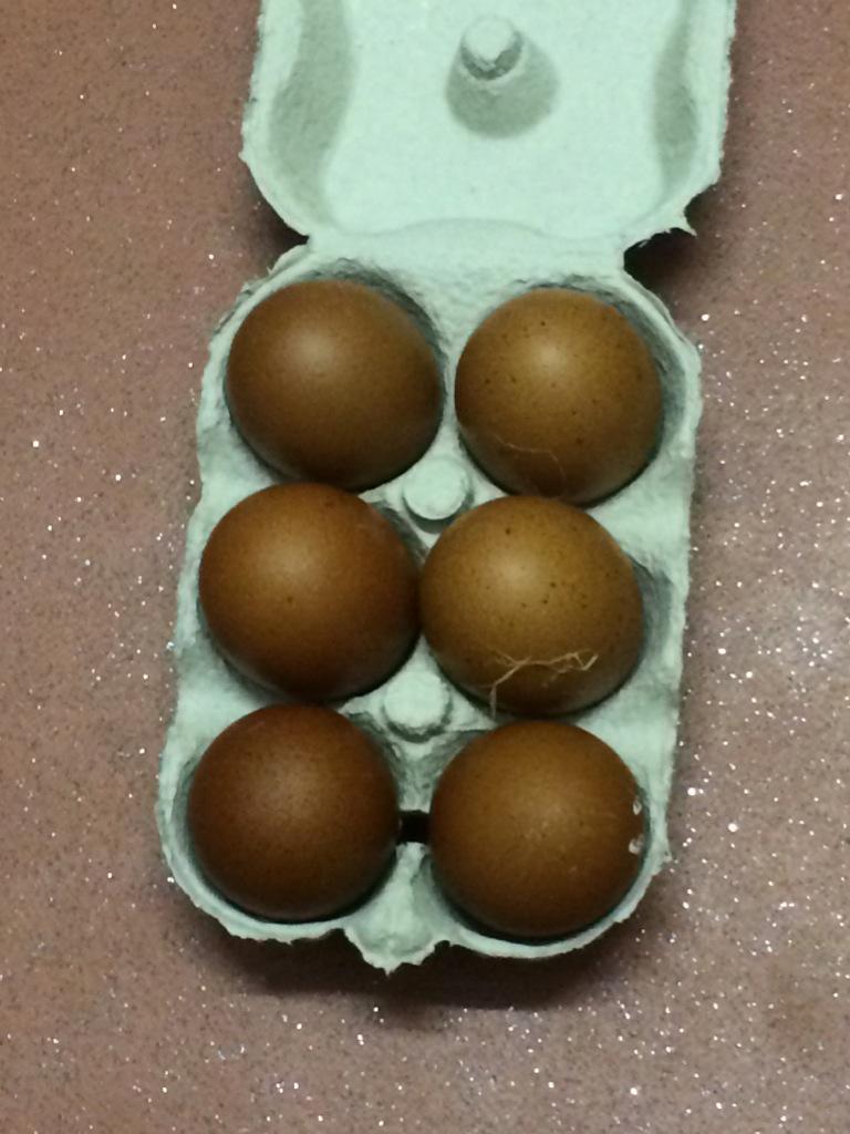 valtra162's tweet photo. Hatching eggs for sale http://t.co/u5z6q2iUay
