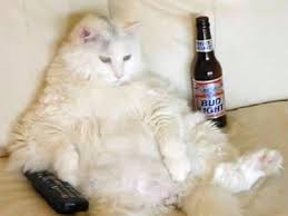 harvey clegram brown (@brown_clegram) on Twitter photo 