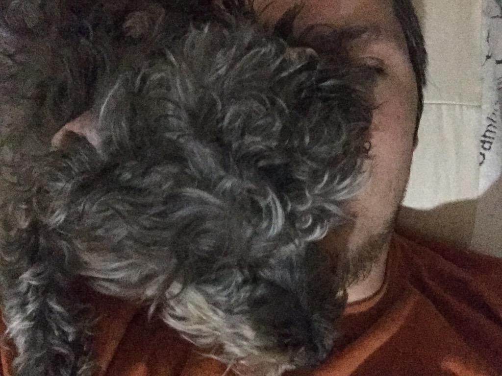 After a nice recording session I go back to lay down in bed and am greeted by Gretta