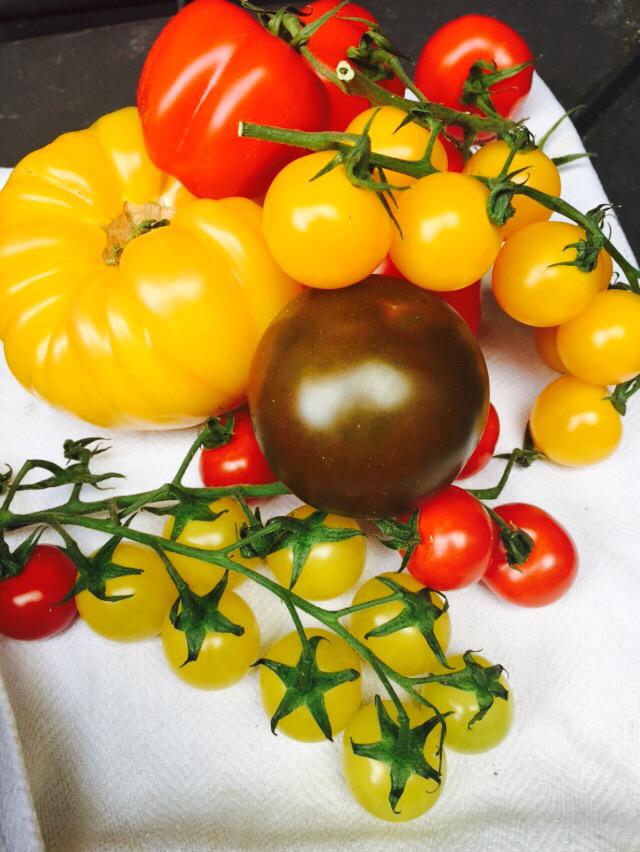 JoshSixxe's tweet photo. Stunning tomatoes from that Isle of Wight! #localproduce http://t.co/fTWVDhPmGY