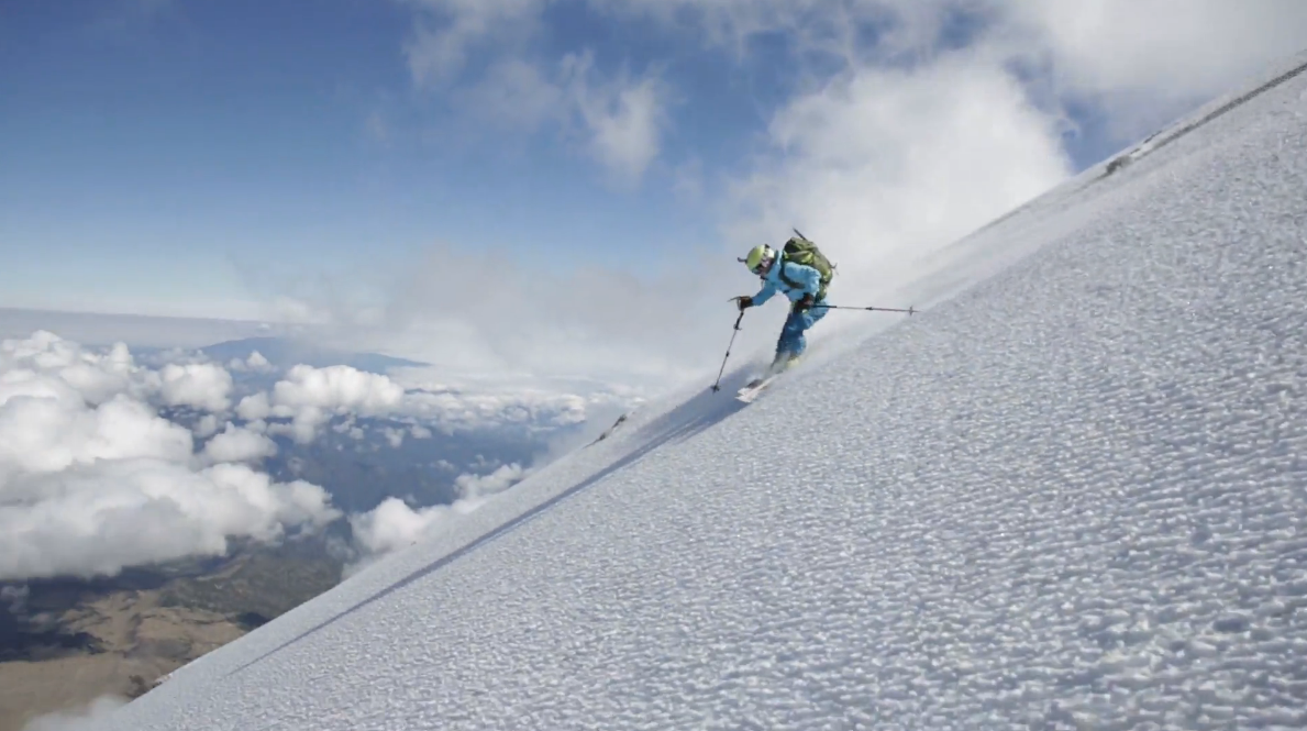 patagonia tweet picture