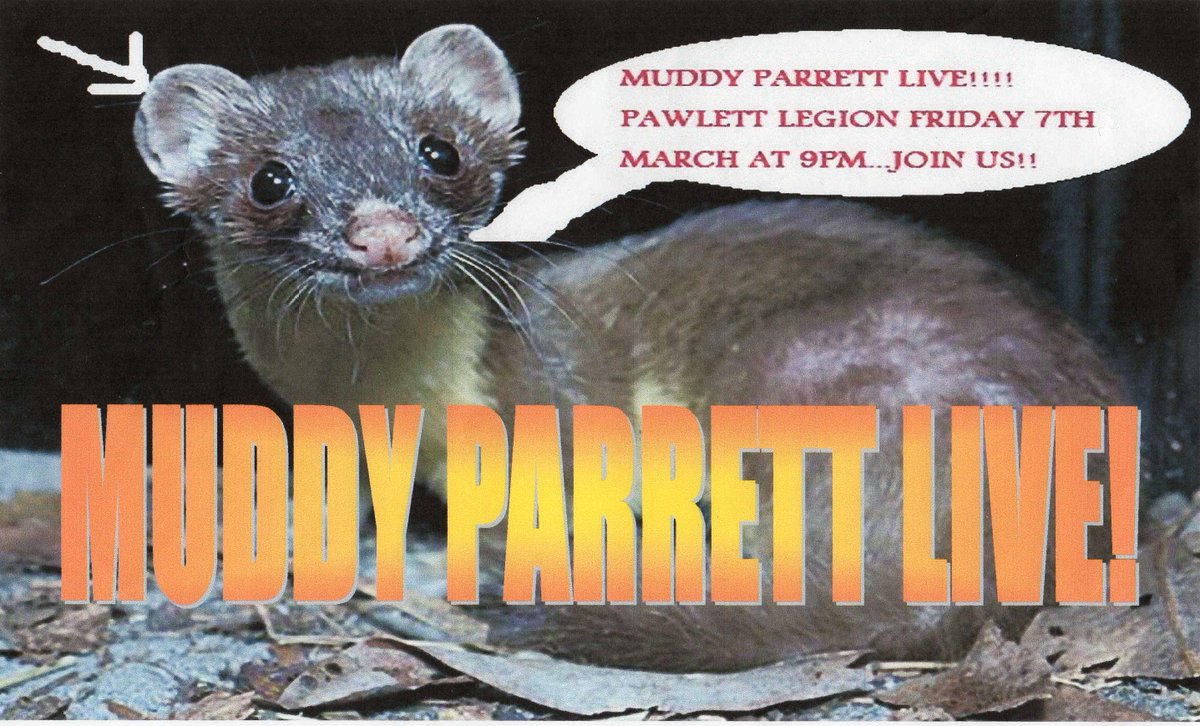 MuddyParrett's tweet photo. Vintage Poster! - Giff's First Gig 07.03.08 #muddyparrettrock http://t.co/Ceq08XO6Ax