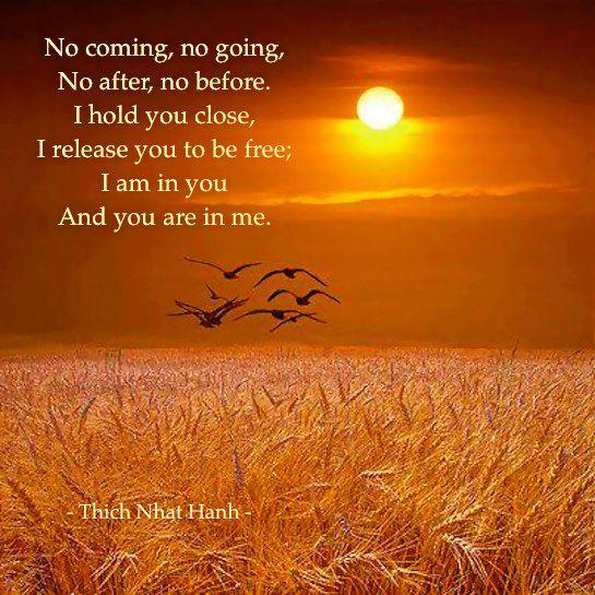 tnh_wisdom's tweet photo. Just because we do not perceive something, it is not correct to say it doesn’t exist #ThichNhatHanh #NoBirth #NoDeath http://t.co/kS1fmP2RBL