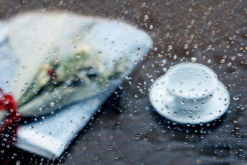 أحب البسطاء الذين يصنعون من سقوط المطر فرحه، ومن بسمة الأصحاب عيد ، ويتغافلون عن الحزن الطفيف
ويحمدون الله كثير😍