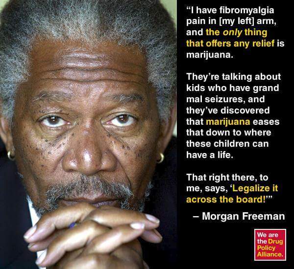 OBAMA4ME2's tweet photo. Mississippi's Morgan Freeman
only #Marijuana cures my pain #LegalizeMs #SignMyPetition #Bi48
http://t.co/Y9Dg6S6WNR http://t.co/D1cRB9bdoa