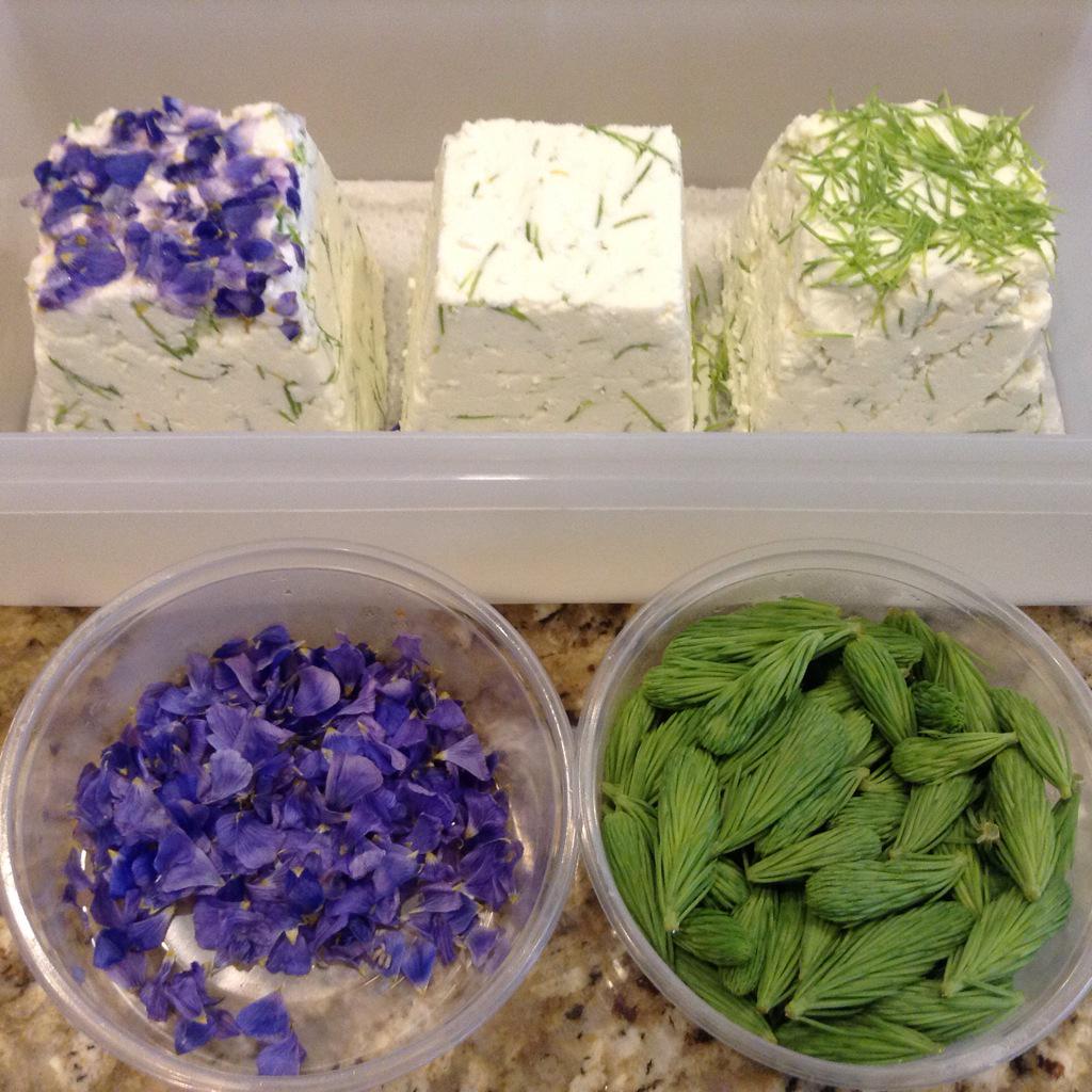 FRFerments's tweet image. Chèvre with spruce tips &amp;amp; blue flax flowers. #cheese #foraged #sprucetip