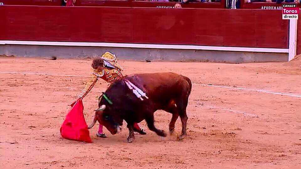 Buenas sensaciones deja <a href="/elpayo_/">El Payo</a>  en su primero!! #OléPayo #FotosInternet