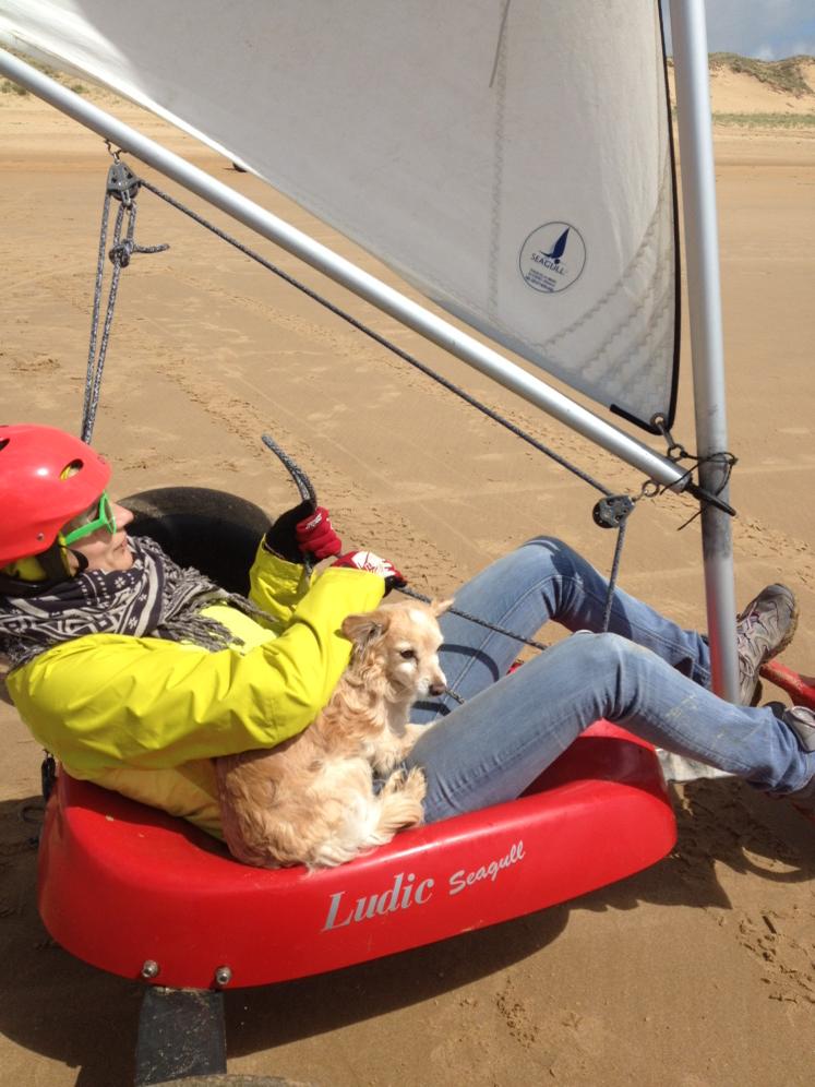 Aujourd'hui les chiens roulent aussi!!!#aerobeach #char a voile#la tranche sur mer #Vendée