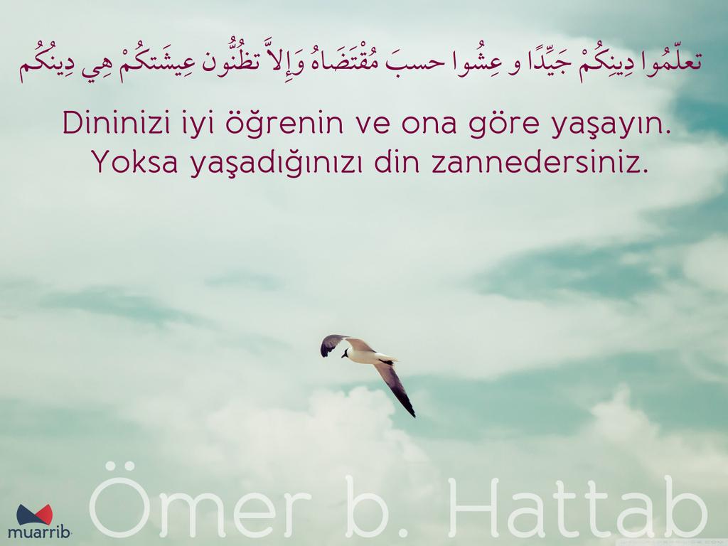 Katta dumba bilan yuqori sifatli porno