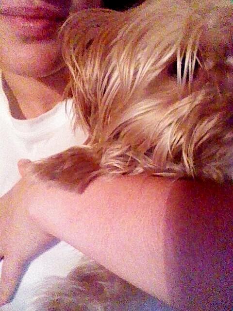 maria99_rt's tweet photo. Como me conoce mi goldo💊💊 http://t.co/MXXS2oh6TM