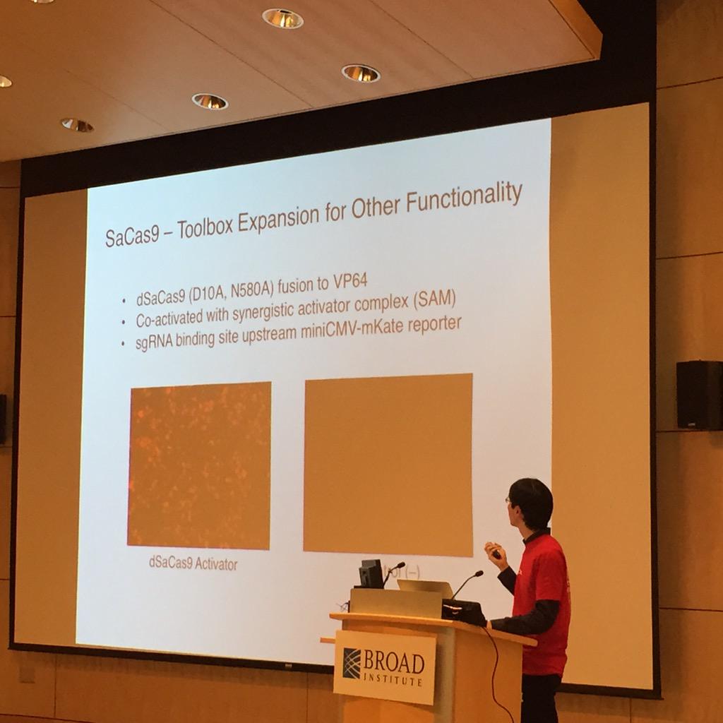 zhangf's tweet photo. @lecong dSaCas9 combined with SAM for gene activation. #GE3workshop http://t.co/np7alFEvvg