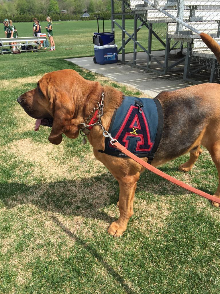 jedusich's tweet photo. Here we go boys! hickory Symes here to support! Woof! Game about to start. #aof #aoflax http://t.co/gfMBdtyay7