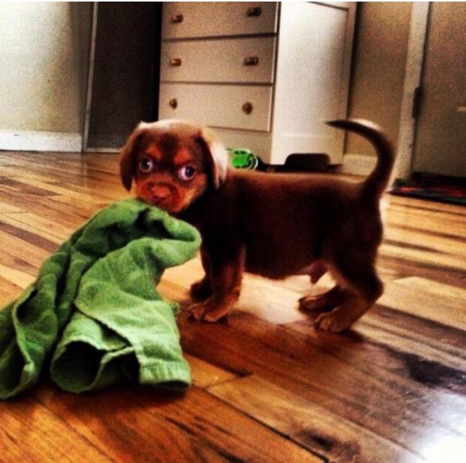 winter2262's tweet image. There IS the culprit